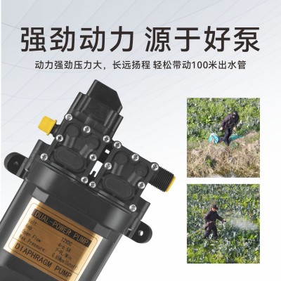 水陆两用手提打药机铅酸电池高压力智能关枪停机12V浇花消毒抽水图3