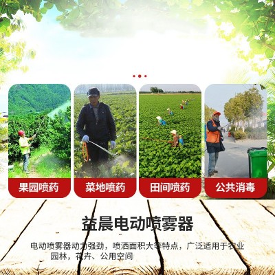 电动喷雾器农用电动高压小型背负式充电打药机农药喷洒锂电池喷壶图2