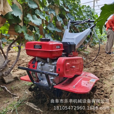 轻巧灵活手扶多功能旋耕机 家用小型微耕机 丘陵地果园开沟机图3