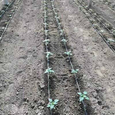 温室大棚蔬菜草莓膜下节水滴灌管 农用内镶贴片式滴灌带图2