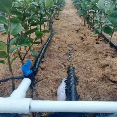 温室大棚蔬菜草莓膜下节水滴灌管 农用内镶贴片式滴灌带图5