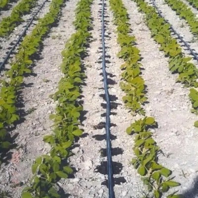 温室大棚蔬菜草莓膜下节水滴灌管 农用内镶贴片式滴灌带图3