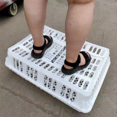 鸡筐 塑料鸡筐 加厚耐摔鸡鸭运输笼 批发鸡运输笼 商品鸡周转笼图2