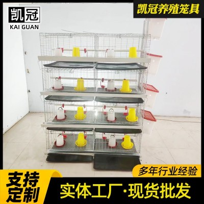 蛋鸡育雏笼阶梯式小鸡笼子雏鸡笼养鸡场设备热镀锌立式四层育雏笼图3