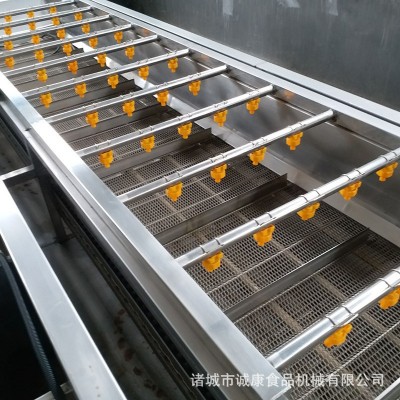 葡萄干清洗机 果蔬清洗机 果蔬脆清洗加工设备 全自动蔬菜清洗机图2