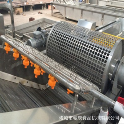 葡萄干清洗机 果蔬清洗机 果蔬脆清洗加工设备 全自动蔬菜清洗机图5
