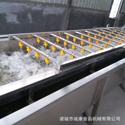 葡萄干清洗机 果蔬清洗机 果蔬脆清洗加工设备 全自动蔬菜清洗机图3