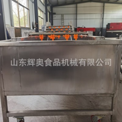 生姜高压喷淋清洗设备 洗毛肚气泡翻滚洗菜机 果蔬海鲜气 泡清洗图4