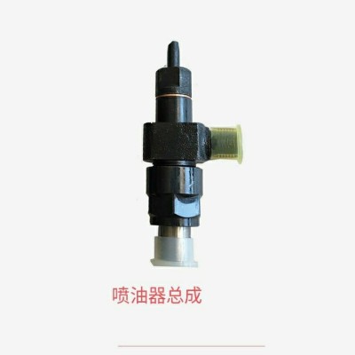 小型柴油机 拓普 全润165 168F 170F 176F喷油泵 喷油器 油 嘴总成图2