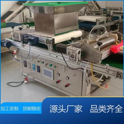 荣越 耐腐蚀 全自动辣椒育苗机药材种子穴盘点种机 降低人工 现发图4