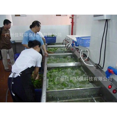 亿水双缸洗菜机 厂家自产水翻浪式紫外光臭氧洗菜机图2
