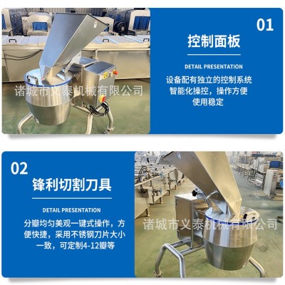 厂家直发大型切丝机土豆胡萝卜生姜切丝设备大型龙卷风蔬果擦丝机图4