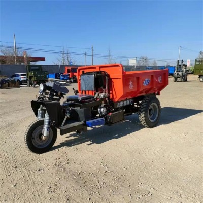 高低速工程自卸柴油三轮车 农用拉料车 全封闭工地三马子图5