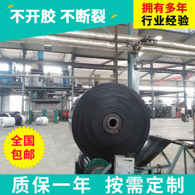 【工厂店】尼龙输送带EP200 NN200 EP300矿用橡胶传送带 传动带图2