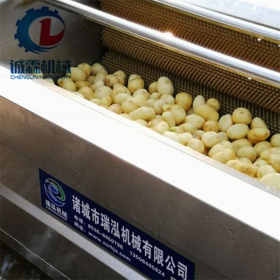 土豆去皮机 根茎类蔬菜清洗去皮切片加工成套设备 马铃薯清洗机图4