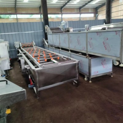 全自动清洗风干流水线 净菜加工设备 巴氏杀菌机二手食品加工设备图2
