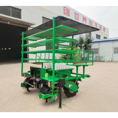 福瑞特 小型半自动蔬菜移栽机 辣椒移 栽机 菊花栽植机图4