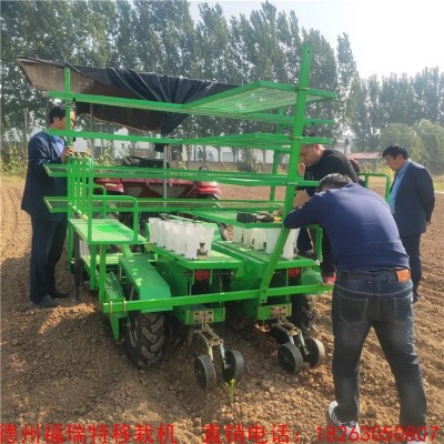 福瑞特 小型半自动蔬菜移栽机 辣椒移 栽机 菊花栽植机图5