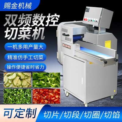 切菜机多功能切丝切段机器韭菜茴香小葱切段机土豆胡萝卜切片机图2