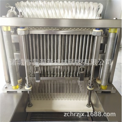 肉制品盐水注射机 整鸡整鸭自动盐水注射机 商用盐水注射设备图4