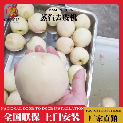 A猕猴桃蒸汽去皮机 黄桃脱皮机 农副产品剥皮机 农业深加工设备图2