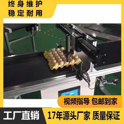 全自动喷码机鸡蛋打码生产流水线 输送带 传输带图2