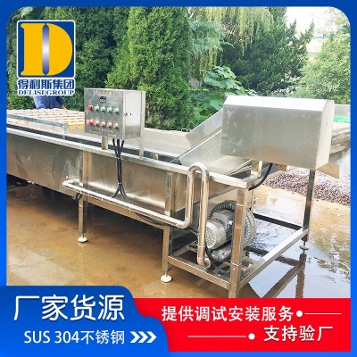 全自动叶类蔬菜气泡清洗机 蔬菜清洗洗菜机 果蔬高压喷淋清洗设备图3