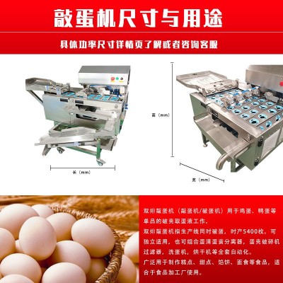 鸡蛋鸭蛋适用蛋清蛋黄分离机 双排大型磕蛋机 蛋黄敲蛋机图2