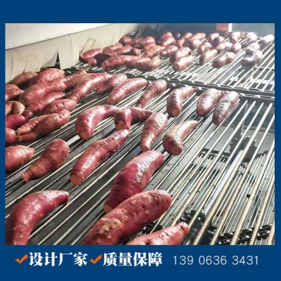 地瓜清洗烘烤生产线 商用烤红薯机 蜜薯清洗烘烤成套流水线图3