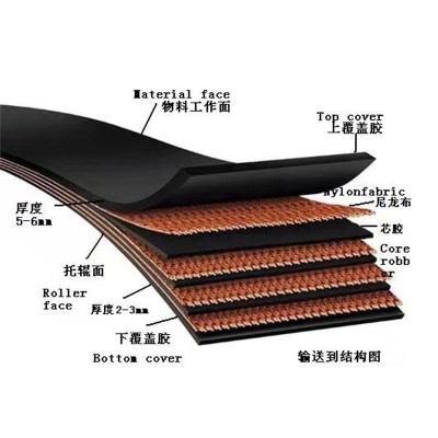 跨境批发尼龙输送带300度耐磨耐热输送带工业矿山尼龙橡胶 传送带图3